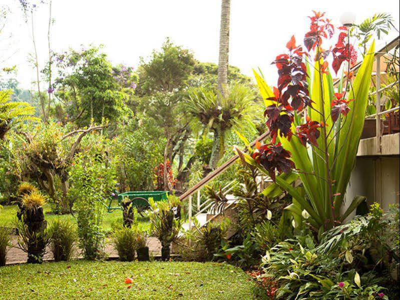 Bird Of Paradise Hotel Goroka Bagian luar foto